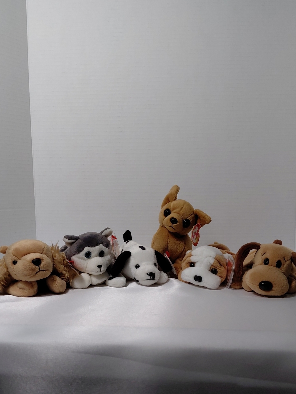 6 Ty Beanies Plush Small Puppys- Brown, White, Gray & Black